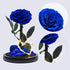 Eternal Blue Rose with White Pearl Earrings in Glass Dome with LED Light